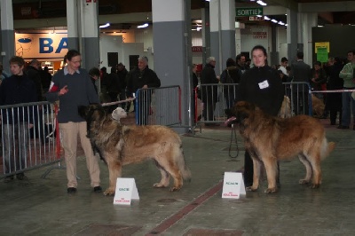 de l'arche de caux - Expo Toulouse