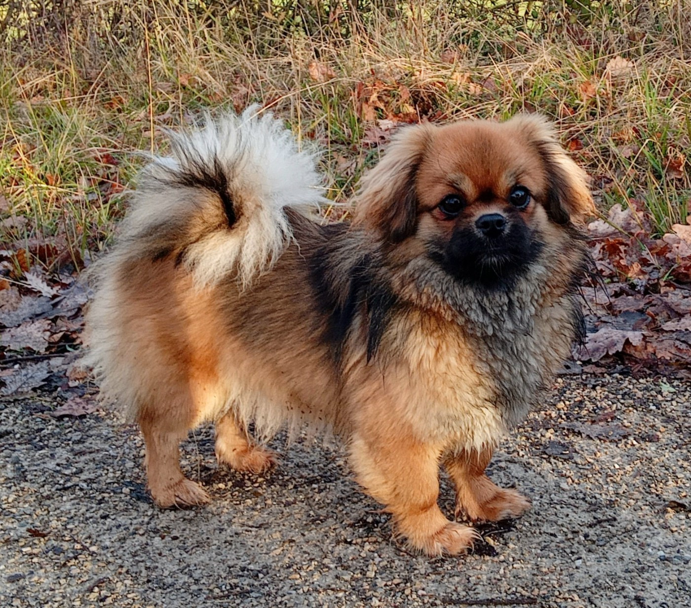 Always the sun de La Valoubiere