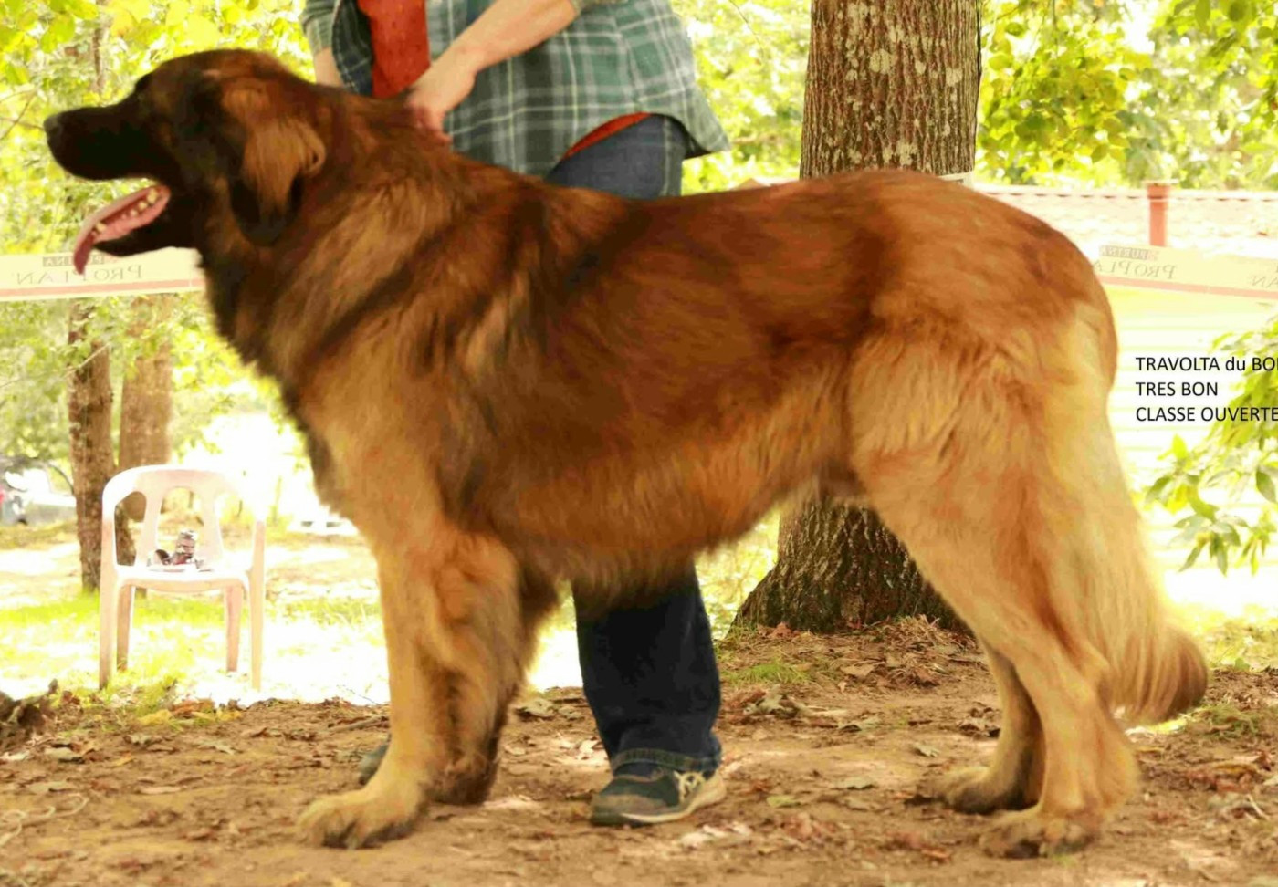 Bientôt des bébés